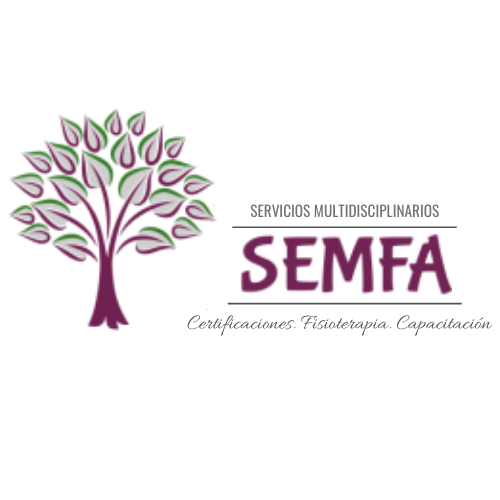 Servicios Multidisciplinarios Fierro Almeida